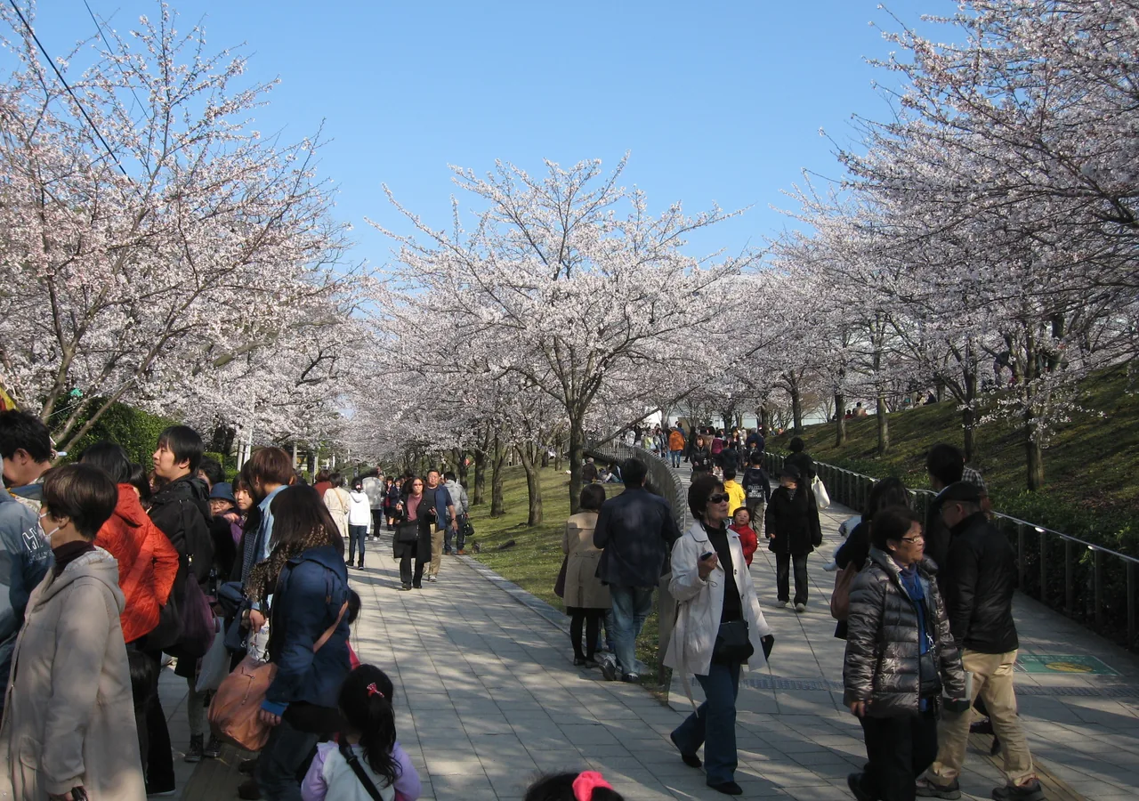 白山公園の空中庭園