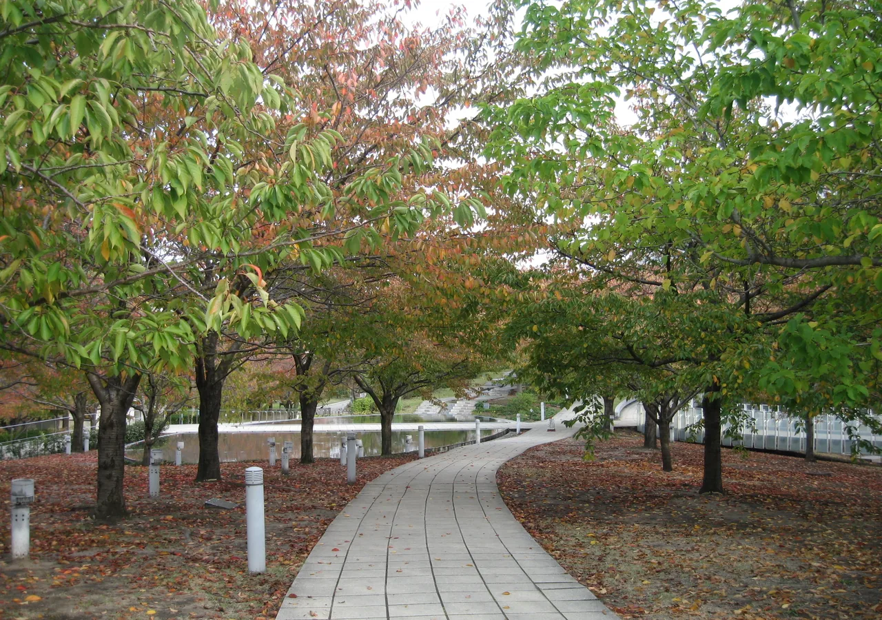 秋の白山公園