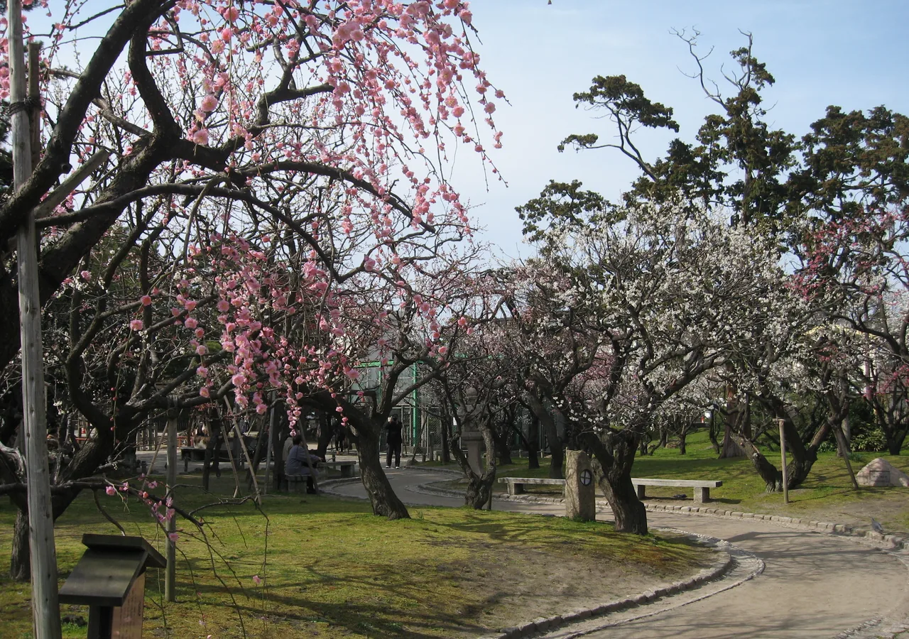 春の白山公園